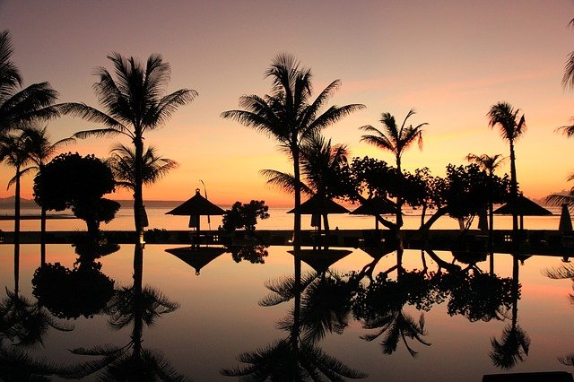 palmy na Bali.jpg