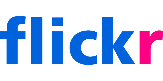 flickr logo